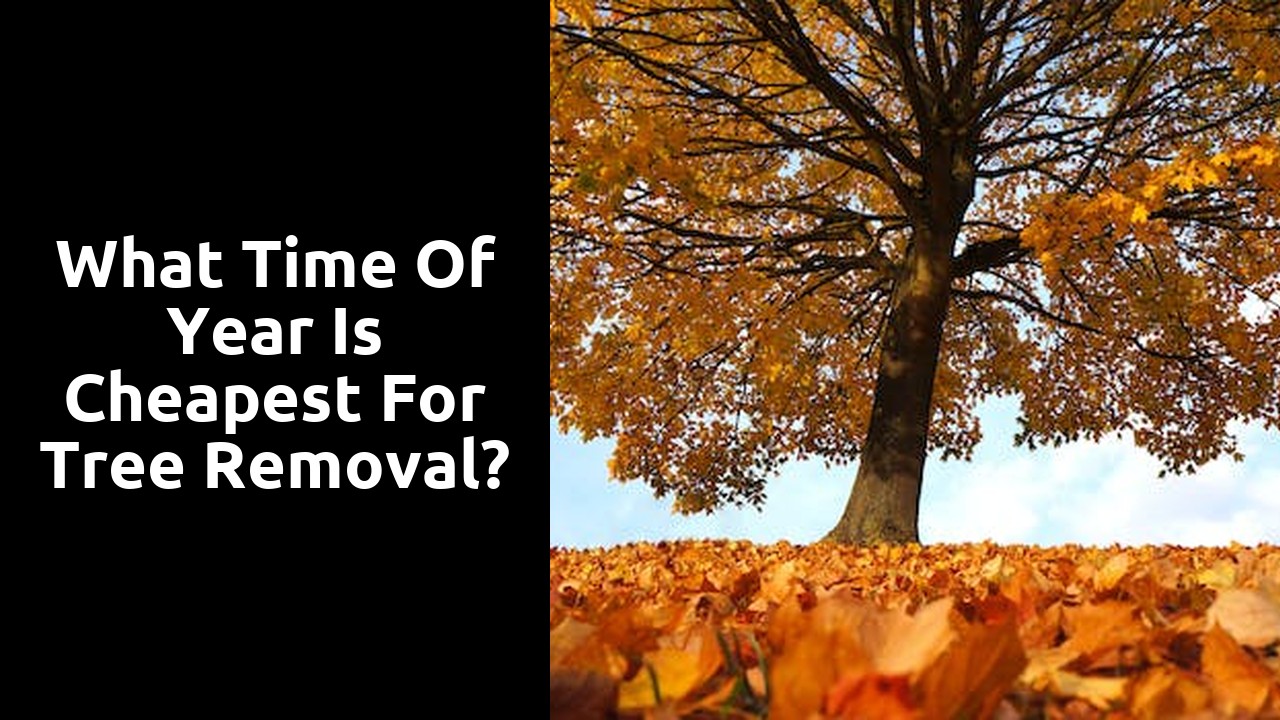 What time of year is cheapest for tree removal?