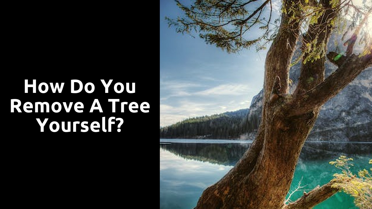 How do you remove a tree yourself?