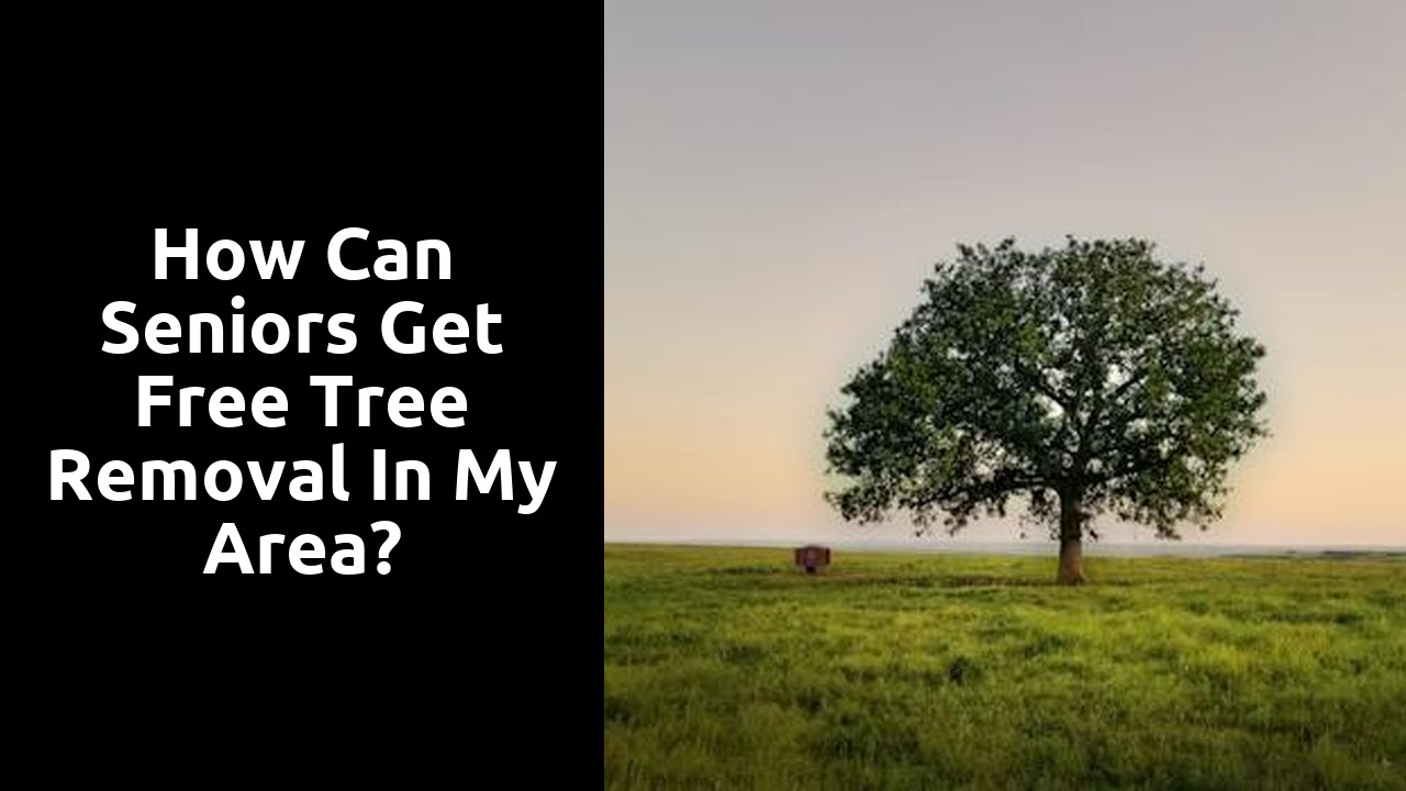 How can seniors get free tree removal in my area?