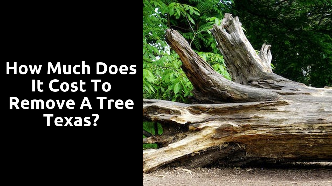 How much does it cost to remove a tree Texas?