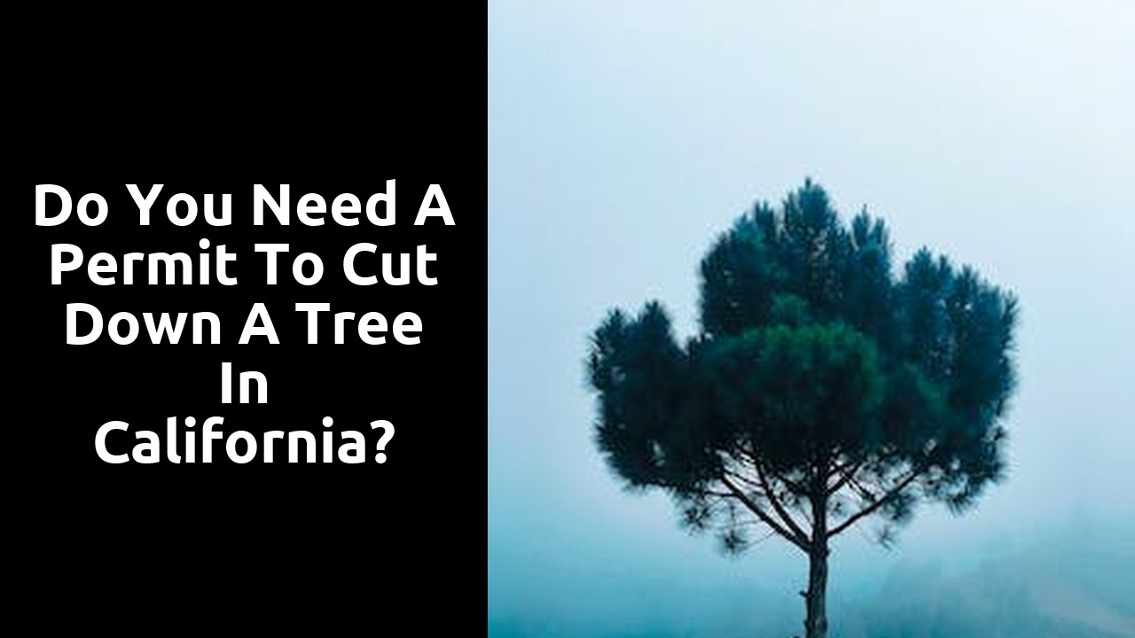 Do you need a permit to cut down a tree in California?
