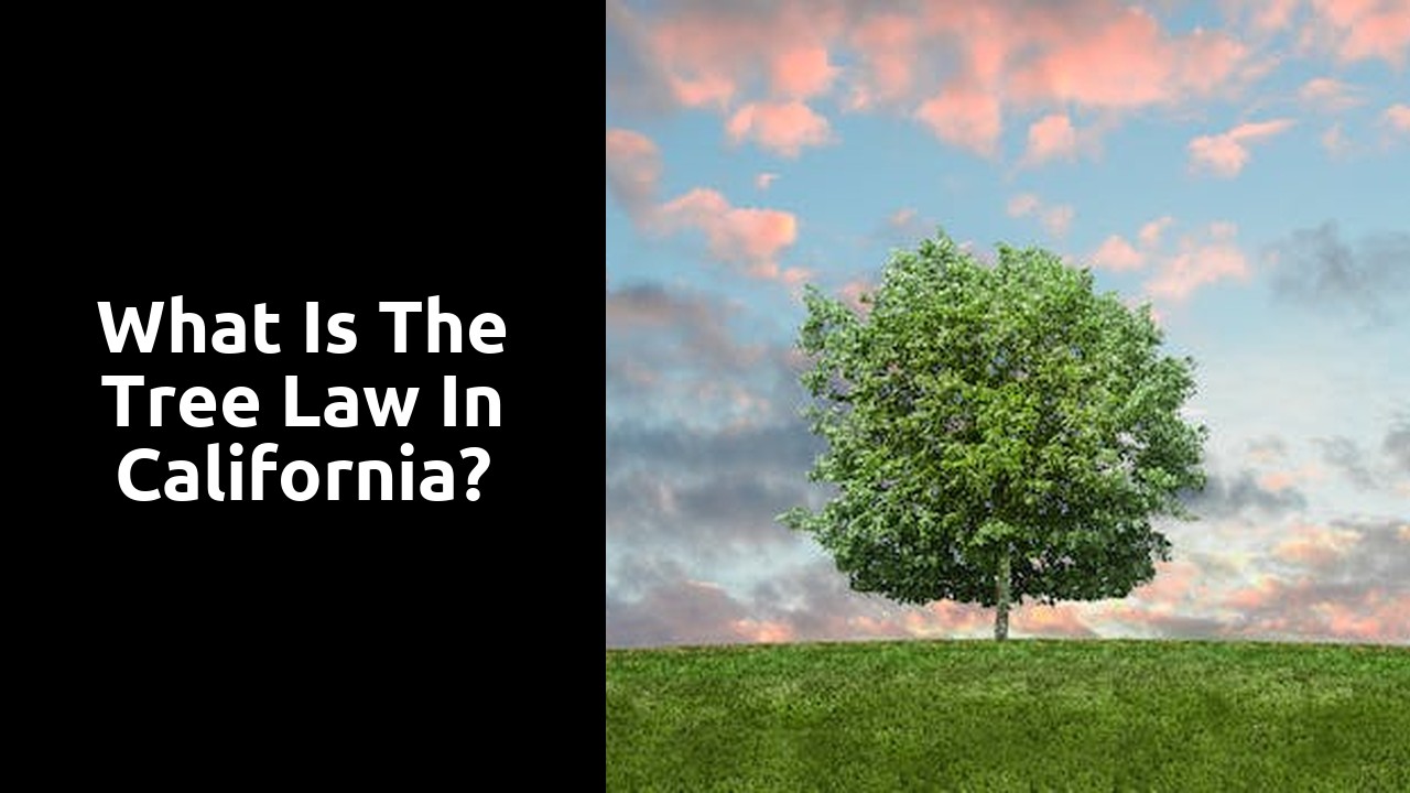 What is the tree law in California?