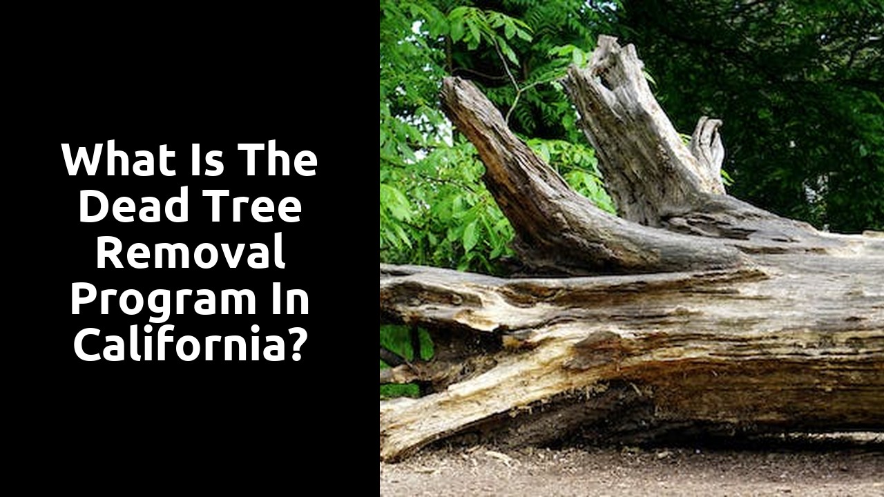 What is the dead tree removal program in California?