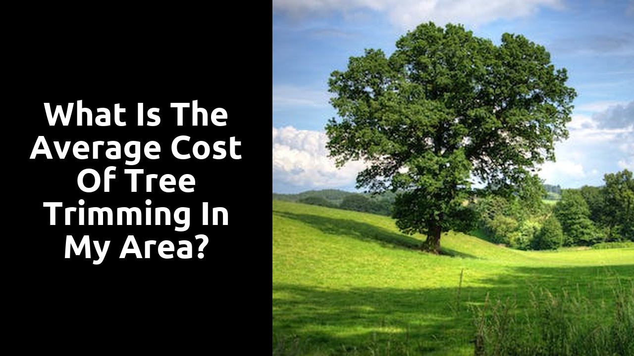 What is the average cost of tree trimming in my area?