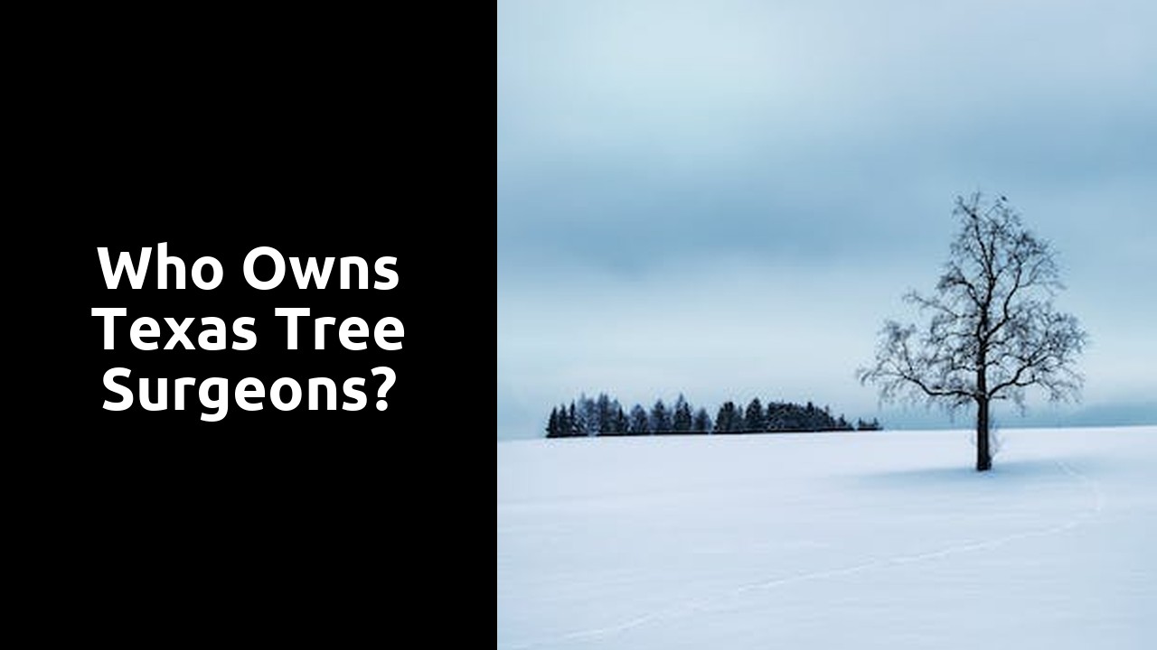 Who owns Texas Tree Surgeons?