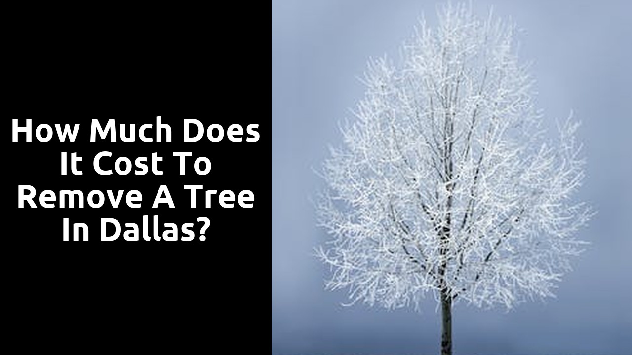 How much does it cost to remove a tree in Dallas?