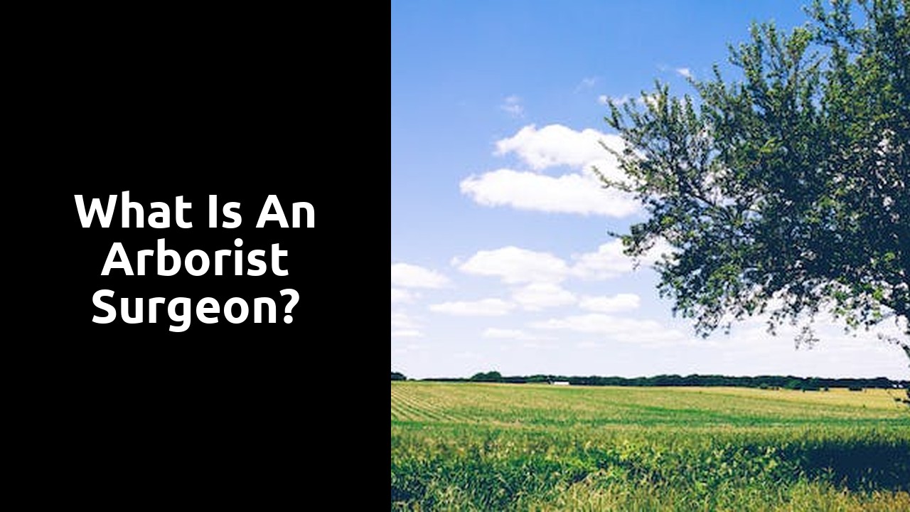 What is an arborist surgeon?